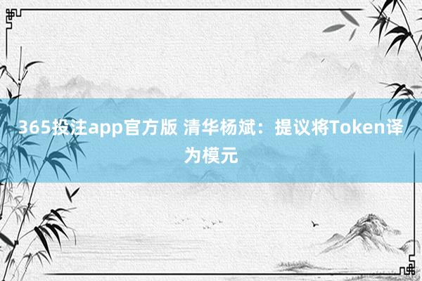 365投注app官方版 清华杨斌：提议将Token译为模元