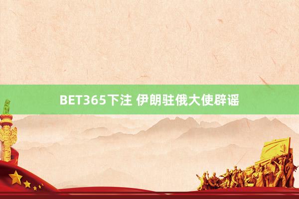 BET365下注 伊朗驻俄大使辟谣