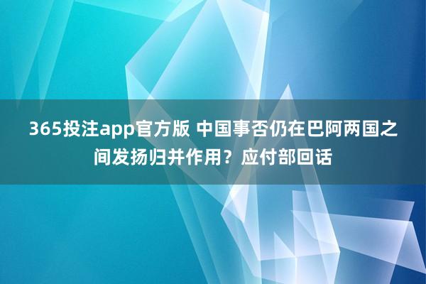 365投注app官方版 中国事否仍在巴阿两国之间发扬归并作用？应付部回话