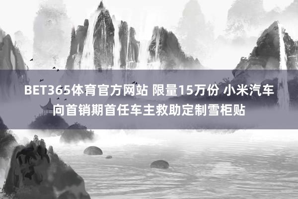 BET365体育官方网站 限量15万份 小米汽车向首销期首任车主救助定制雪柜贴