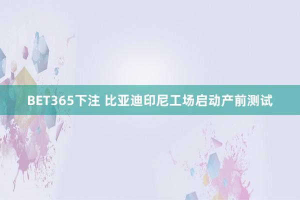 BET365下注 比亚迪印尼工场启动产前测试