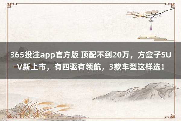 365投注app官方版 顶配不到20万，方盒子SUV新上市，有四驱有领航，3款车型这样选！