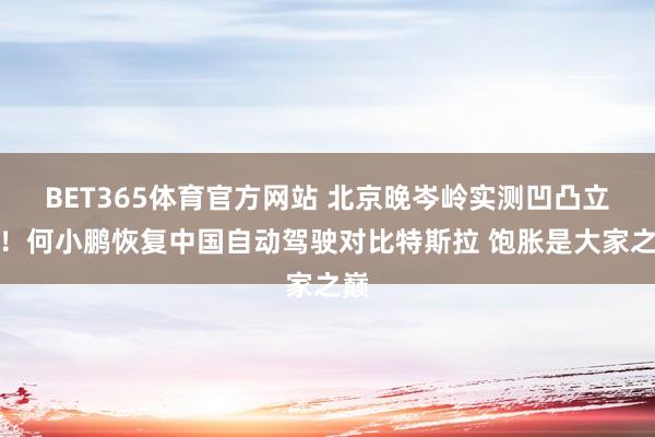 BET365体育官方网站 北京晚岑岭实测凹凸立判！何小鹏恢复中国自动驾驶对比特斯拉 饱胀是大家之巅