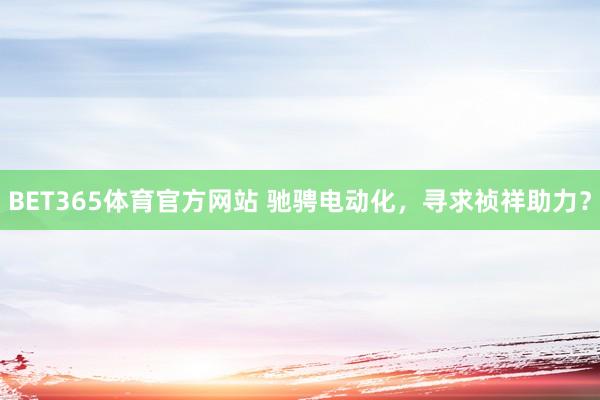 BET365体育官方网站 驰骋电动化，寻求祯祥助力？