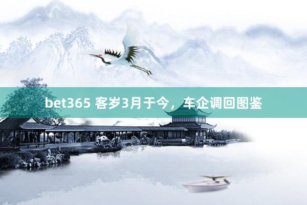 bet365 客岁3月于今，车企调回图鉴