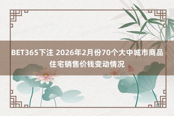 BET365下注 2026年2月份70个大中城市商品住宅销售价钱变动情况