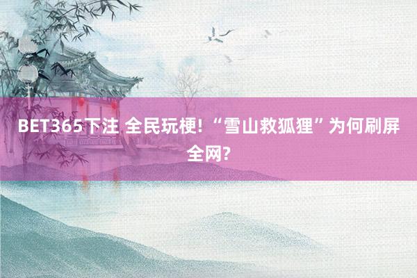 BET365下注 全民玩梗! “雪山救狐狸”为何刷屏全网?