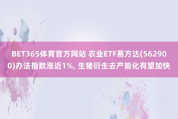 BET365体育官方网站 农业ETF易方达(562900)办法指数涨近1%， 生猪衍生去产能化有望加快