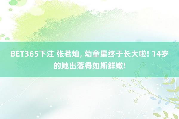 BET365下注 张茗灿，<a href=