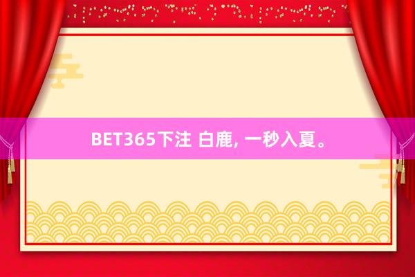 BET365下注 白鹿， 一秒入夏<a href=