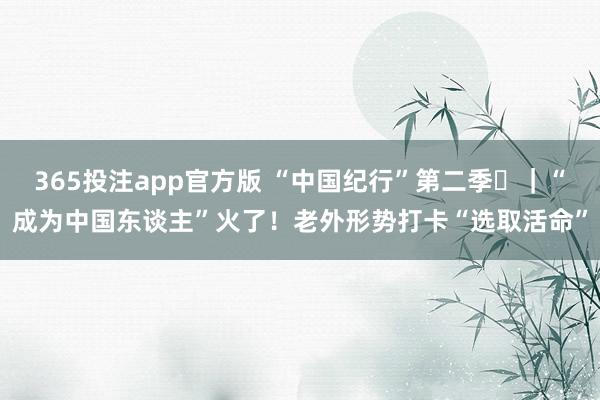 365投注app官方版 “中国纪行”第二季⑳｜“成为中国东谈主”火了！老外形势打卡“选取活命”