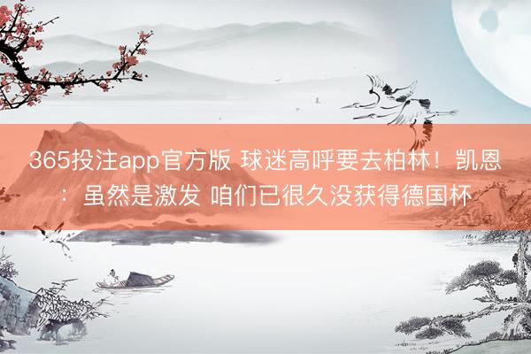 365投注app官方版 球迷高呼要去柏林！凯恩：虽然是激发 咱们已很久没获得德国杯