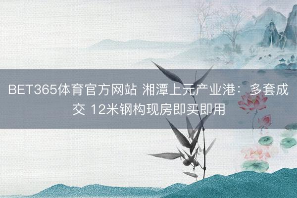 BET365体育官方网站 湘潭上元产业港：多套成交 12米钢构现房即买即用