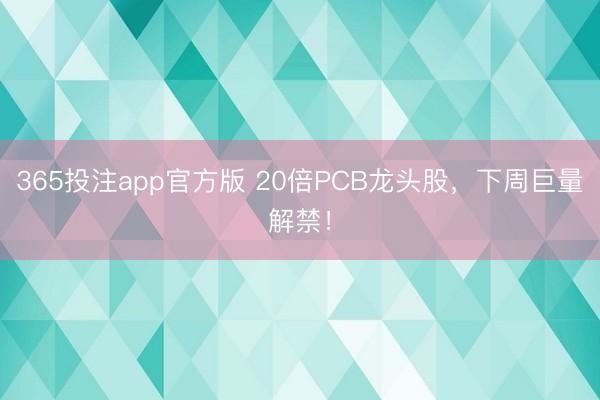 365投注app官方版 20倍PCB龙头股，下周巨量解禁！
