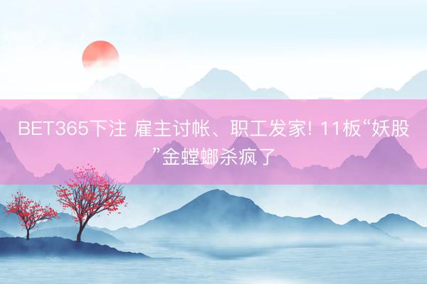 BET365下注 雇主讨帐、职工发家! 11板“妖股”金螳螂杀疯了