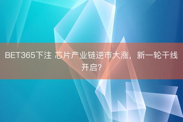BET365下注 芯片产业链逆市大涨，新一轮干线开启？