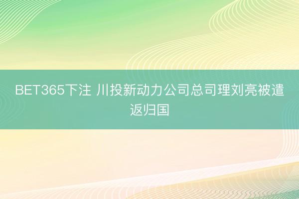 BET365下注 川投新动力公司总司理刘亮被遣返归国