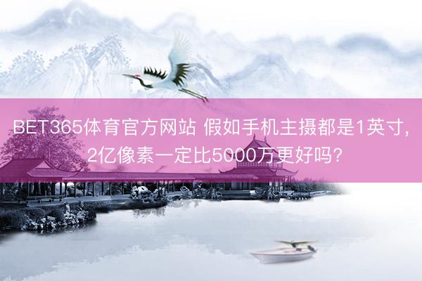 BET365体育官方网站 假如手机主摄都是1英寸， 2亿像素一定比5000万更好吗?