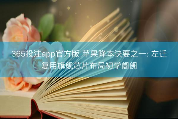 365投注app官方版 苹果降本诀要之一: 左迁复用旗舰芯片布局初学阛阓