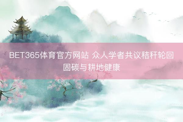 BET365体育官方网站 众人学者共议秸秆轮回固碳与耕地健康