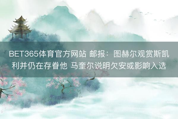 BET365体育官方网站 邮报：图赫尔观赏斯凯利并仍在存眷他 马奎尔说明欠安或影响入选