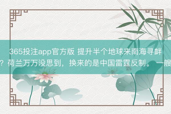 365投注app官方版 提升半个地球来南海寻衅？荷兰万万没思到，换来的是中国雷霆反制。 一艘