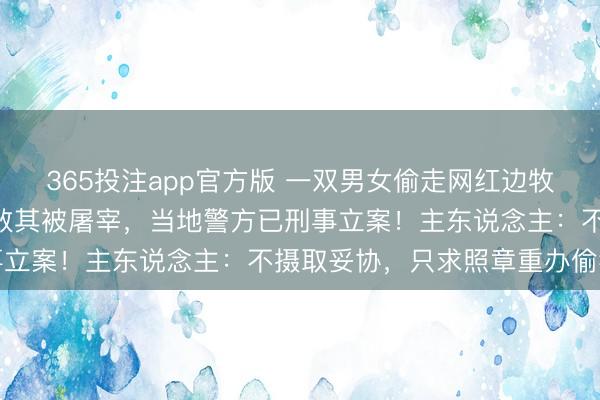 365投注app官方版 一双男女偷走网红边牧,又以180元价钱贩卖致其被屠宰,当地警方已刑事立案!主东说念主:不摄取妥协,只求照章重办偷狗者