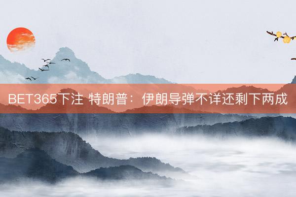 BET365下注 特朗普:伊朗导弹不详还剩下两成