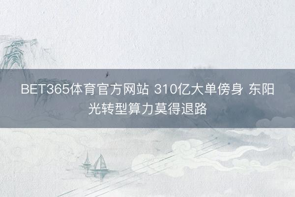 BET365体育官方网站 310亿大单傍身 东阳光转型算力莫得退路