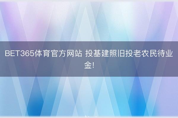 BET365体育官方网站 投基建照旧投老农民待业金!