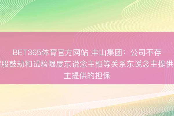 BET365体育官方网站 丰山集团：公司不存在对控股鼓动和试验限度东说念主相等关系东说念主提供的担保