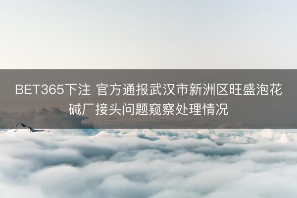 BET365下注 官方通报武汉市新洲区旺盛泡花碱厂接头问题窥察处理情况