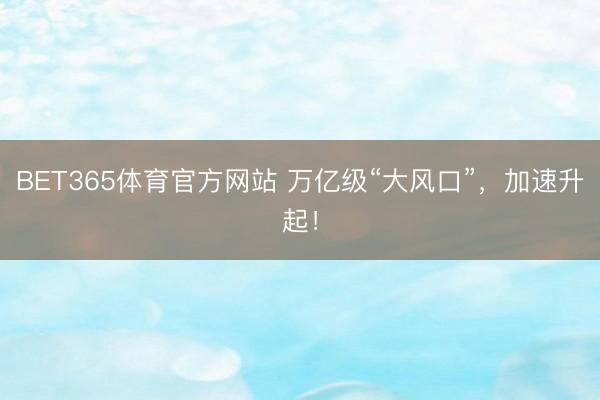 BET365体育官方网站 万亿级“大风口”，加速升起！