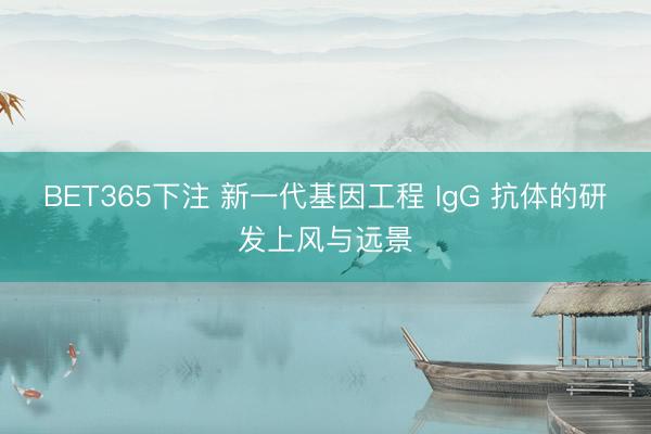 BET365下注 新一代基因工程 IgG 抗体的研发上风与远景