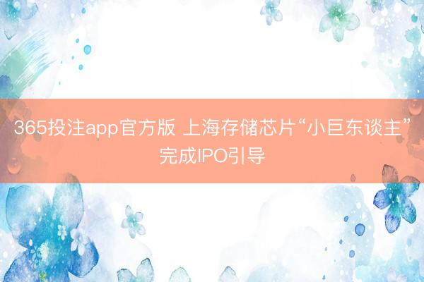365投注app官方版 上海存储芯片“小巨东谈主”完成IPO引导