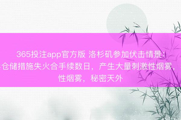 365投注app官方版 洛杉矶参加伏击情景：大型买卖仓储措施失火合手续数日，产生大量刺激性烟雾，秘密天外